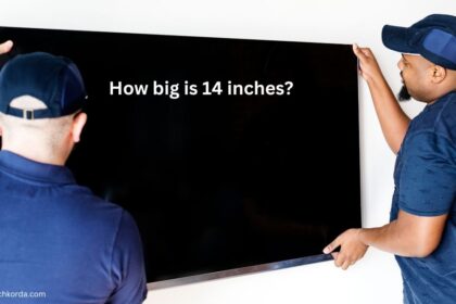 how big is 14 inches