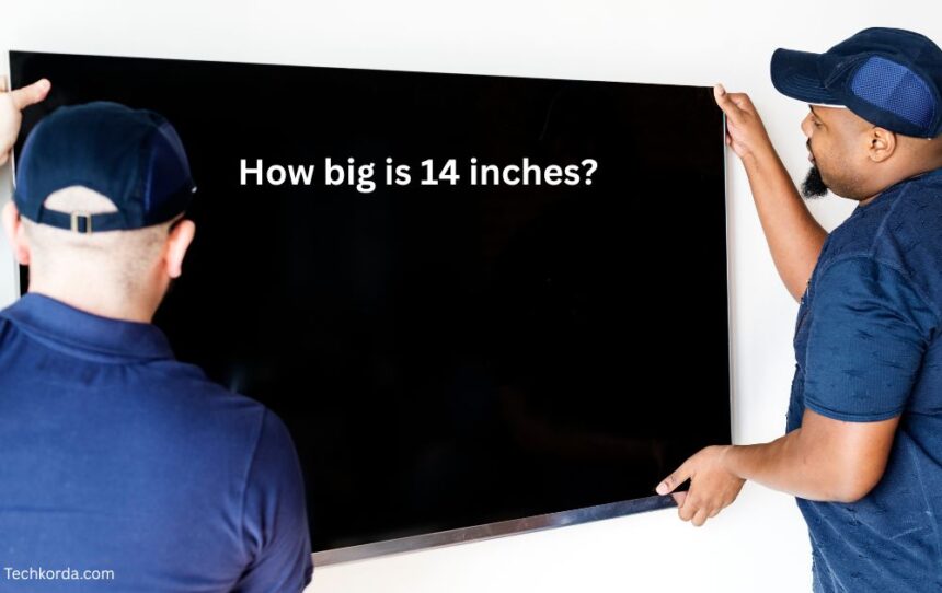 how big is 14 inches