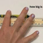 how big is 5 inches