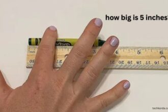 how big is 5 inches