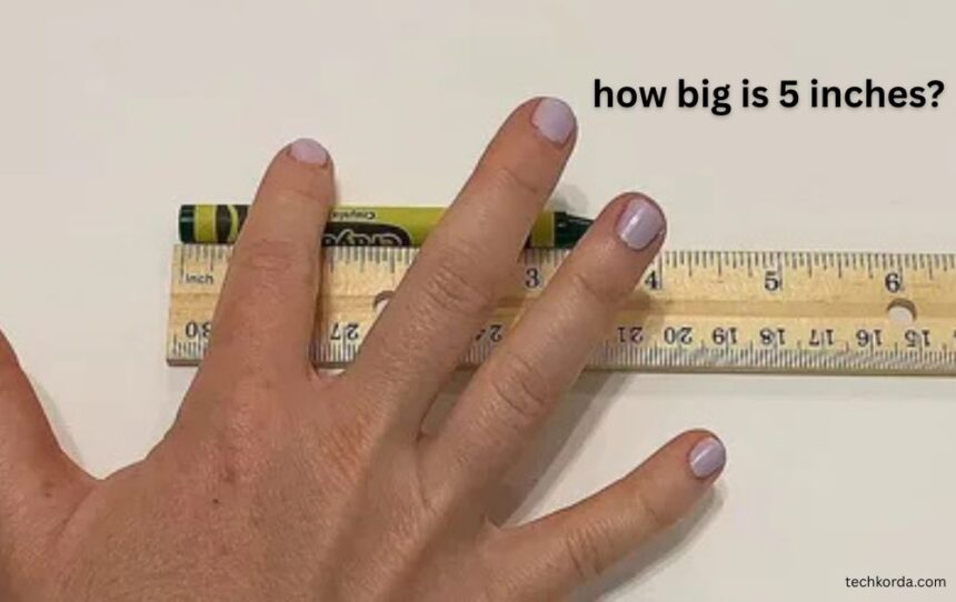 how big is 5 inches