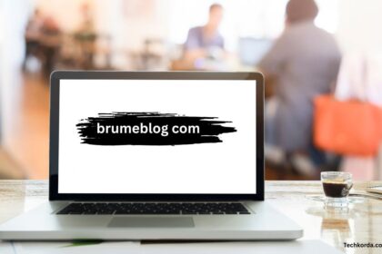 brumeblog com
